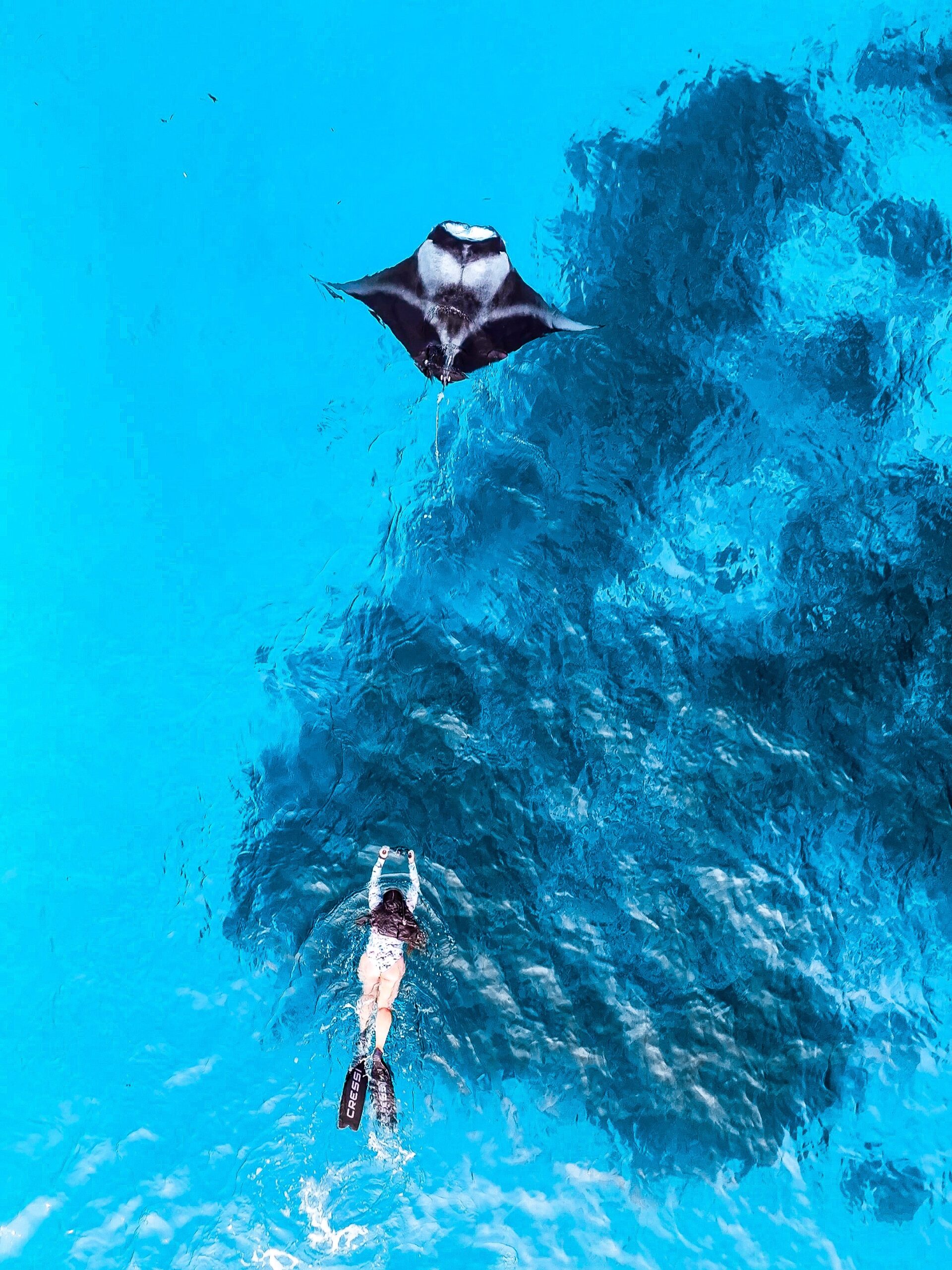 Io e manta drone resized